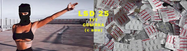 mdpv Бугульма