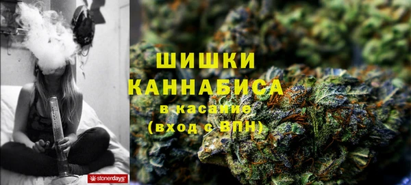 дурь Бронницы