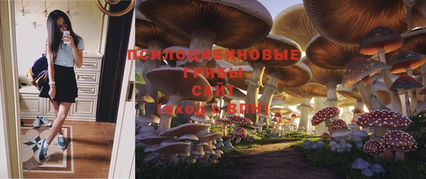 дурь Бронницы