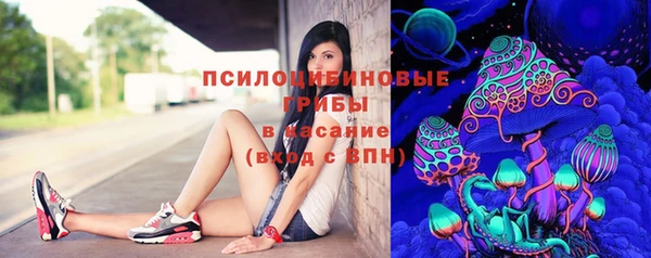 дурь Бронницы