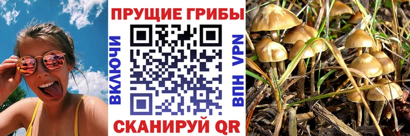 наркошоп  Горячий Ключ  Галлюциногенные грибы Magic Shrooms 