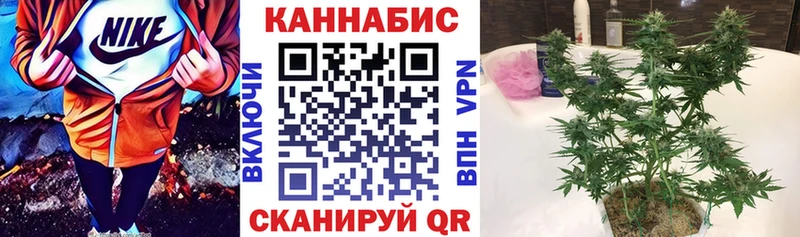 Бошки марихуана THC 21%  Горячий Ключ 